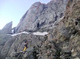 Image result for Kedrostis abdallai