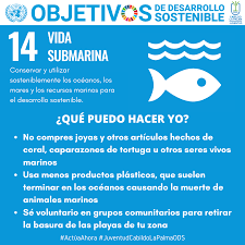 OBS 14