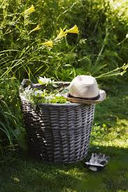 Kills weeds to the root. 15 Homemade Organic Weed Killers How To Kill Weeds Naturally