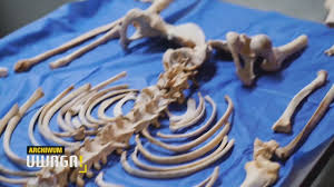 Za marzeniami pojechał aż do meksyku. Brutalne Zabojstwo Polaka W Meksyku Nie Mowia Nam Prawdy Rmf 24