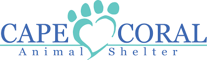 Our store also offers grooming, training, adoptions, veterinary and curbside pickup. Veterinary Clinic Cape Coral Animal Shelter