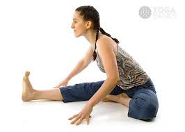 Seated Head To Knee Yoga Poses Seated Poses