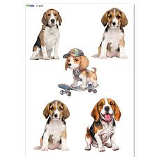 Image result for bígl