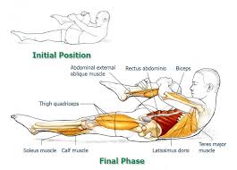 One Leg Stretch Abdominal Exercises For Spine And Core Stabilization Part 4 The Health Science Journal Abdominal Exercises Yoga Anatomy Exercise