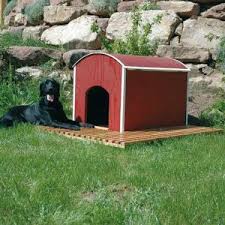 Beim eigenbau kannst du mit ungefähr 150 bis 200 euro ein modell kreieren, welches im fachhandel 300 euro kostet. Hundehutte Selber Bauen In 5 Schritten Zur Selbstgebauten Hundehutte Heimwerker De