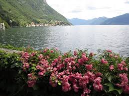 Sabato 26 settembre 2020 ore 8:00. Lacs Italiens Meilleure Periode Pour Le Climat Et Les Fleurs Climat Et Meteo Italie Voyage Forum