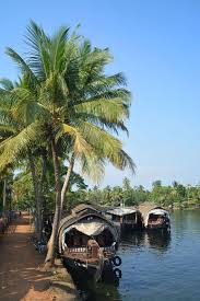 Les Backwaters Du Kerala Dormir A Bord D Un Bateau Maison Inde Paysage Voyage Inde Voyage Au Laos