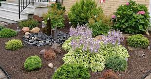 Slow Growing Shrubs Create Low Maintenance Garden Backyard Is Full Of Pere Low Growing Shrubs Low Maintenance Plants Landscaping Low Maintenance Garden Plants