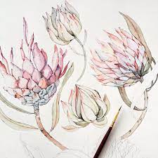 Watercolor Tropical Floral Painting Botanical Art Drawing Watercolor Flowers Paintings Floral Watercolor