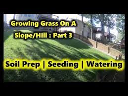 Rototilling will begin within days but i need to know how to keep the moles out of the yard before this project begins. How To Grow Grass On A Steep Shaded Slope Hill Part 3 Youtube