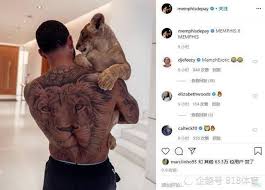 20 fierce lion tattoos for men the trend spotter. Rich And Headstrong The Former Manchester United Player Depay Keeps A Lion As A Pet And Patrols The Mansion With A Little Lion Daydaynews