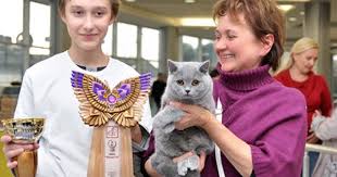 novosti britanskie kotyata pitomnik fantasy fiesta odessa vystavki koshek rezultaty britanskie koshki pitomnik ukra kotyata koshki britanskaya korotkosherstnaya