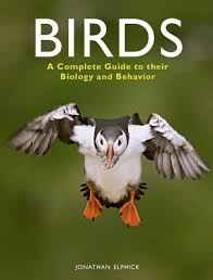 Birds Of South Africa Book Pdf Birds A Complete Guide To Their Biology And Behavior Paperback R J Julia Booksellers Biology Complete Guide Behavior