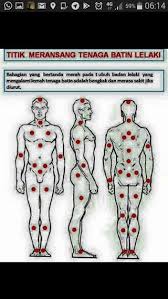 1137 likes 2 talking about this 4 were here. Lemah Tenaga Batin Penyelesaiannya Melalui Protokol 670 Dr Rosni D Sakinah