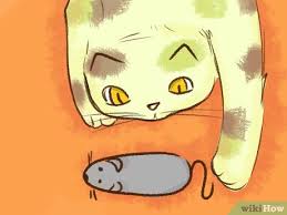 If your cat is constantly stressed to the point where he is biting, you should talk to a certified cat behavior consultant or your veterinarian for help. 3 Ways To Stop A Kitten From Biting Wikihow