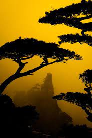 500px Yellow Mountain Ii By Maria Diez Pins From Friends Schone Fotos Landschaftsfotos Acryl Malen