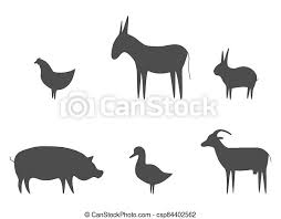 Check spelling or type a new query. Farm Animals Black Outline Set Vector Illustration Pig Duck Goat Chicken Rabbit And Donkey Isolated On White Domestic Canstock