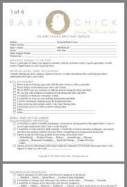 Pin By Moon On Divine Birth Project Birth Plan Template Birth Plan Birth Center