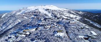 Becoming colder with heavy fall of snow, heaviest during fri night. Mount Buller Adams Estate Agents