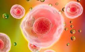 Stem Cell Treatment In Patients With Lyme Disease Booking Health