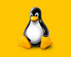 Resultado de imagen de linux