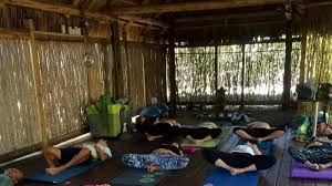 Get directions, reviews and information for yoga works in boynton beach, fl. Petition Allow Outdoor Yoga Classes On The Deck At Bamboo Garden Yoga Change Org