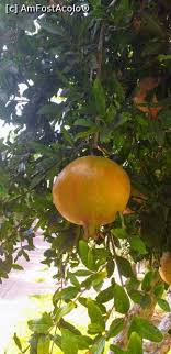 Vonresort golden coast & aqua. Von Resort Golden Coast O Vacanta Reusita In Ciuda Pandemiei Impresii Vonresort Golden Coast Colakli Side Amfostacolo