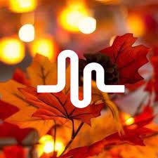 Musically Logo Fall Halloween Tiktok Logo Halloween Logo Fall Wallpaper