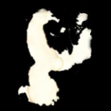 Pheromones teach dogs boundaries and respectable places to urinate; How To Remove Dog Urine Smell From Carpet Remove Urine Smell From Carpet Spot Removal Guide