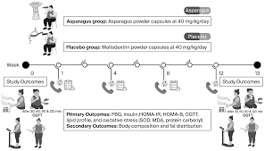 Image result for Asparagus aspergillus