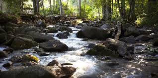 Watch free videos from craig of the creek on cartoon network! Craig County Fish Virginia First Fishing Holes