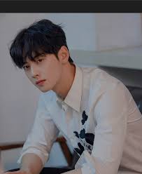 You can choose the cha eun woo wallpapers apk version that suits your phone, tablet, tv. Cha Eun Woo Astro Hd Mobile Wallpaper Peakpx