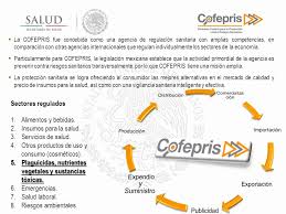 The mexican secretariat of health (spanish: Politica Publica Y Modernizacion De La Regulacion Sanitaria Cofepris Ppt Descargar
