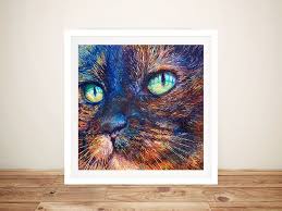 Foxy Iris Scott Canvas Print Buy Art Australia Online Gallery Art Canvas Art Canvas Prints