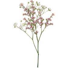 Discover 3665 free aesthetic png images with transparent backgrounds. Laurieannhgd Flowers4 Png Liked On Polyvore Featuring Flowers And Plants Bunga Kering Kolase Foto Gambar Perspektif