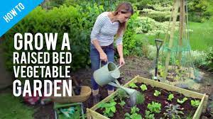 We did not find results for: How To Grow Vegetables In Raised Bed Gardens Youtube