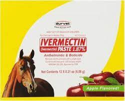 15 Scabies Remedies Ideas Scabies Remedies Home Remedies For Scabies