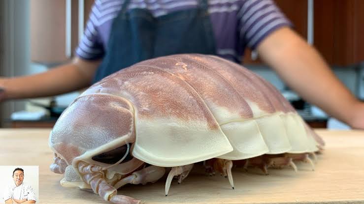 Mga resulta ng larawan para sa Giant Isopod"