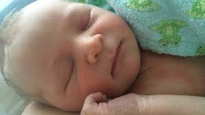 Bear interrupts woman's drive, in labour, to Nova Scotia hospital