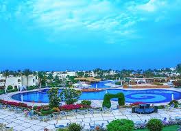 Image result for Regency D-810