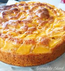 Torta Al Mango Gavinedda Island