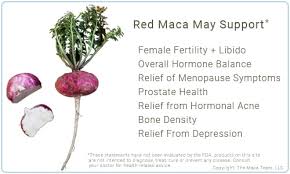 Review the top rated maca powders for jul 2021 based on 20975 consumer reviews. Raw Maca Powder Best Red Maca Products Online Fresh From Peru