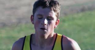 Boys cross country: Two Hounds and a Panther headed to state
