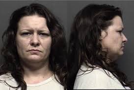 Saline County Booking Activity Nov. 18, 2017