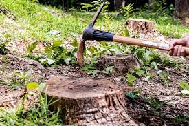 Top 5 Manual Tools For Stump Removal