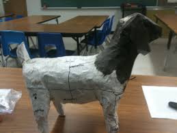 Vet Med Project Students Make A Paper Mache Model Of An Animal Then Write The Directional Terminology Veterinary Science Animal Science Agricultural Science