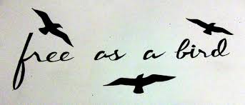 Free As A Bird Quotes Google Search Free Bird Tattoo Bird Quotes Birds Tattoo
