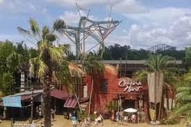 We did not find results for: Busch Gardens Tampa Bay Is One Of The Very Best Things To Do In Tampa