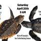 18th Annual Tybee Turtle Trot 5k Beach Run