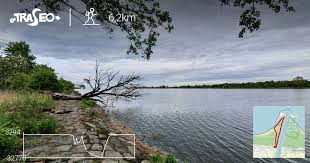 300 individuals, according to hms (2017)) population in the polish coastal zone (southern baltic sea) is located. Trasa Piesza Wyspa Sobieszewska Mewia Lacha Traseo Pl